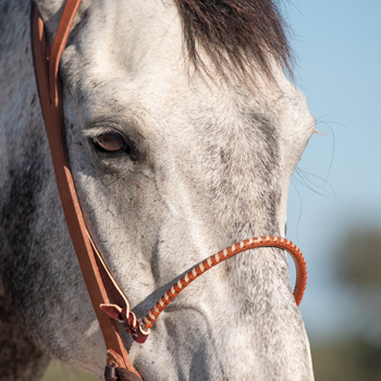 Nosebands