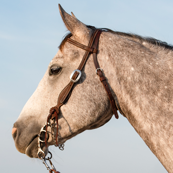 Headstalls