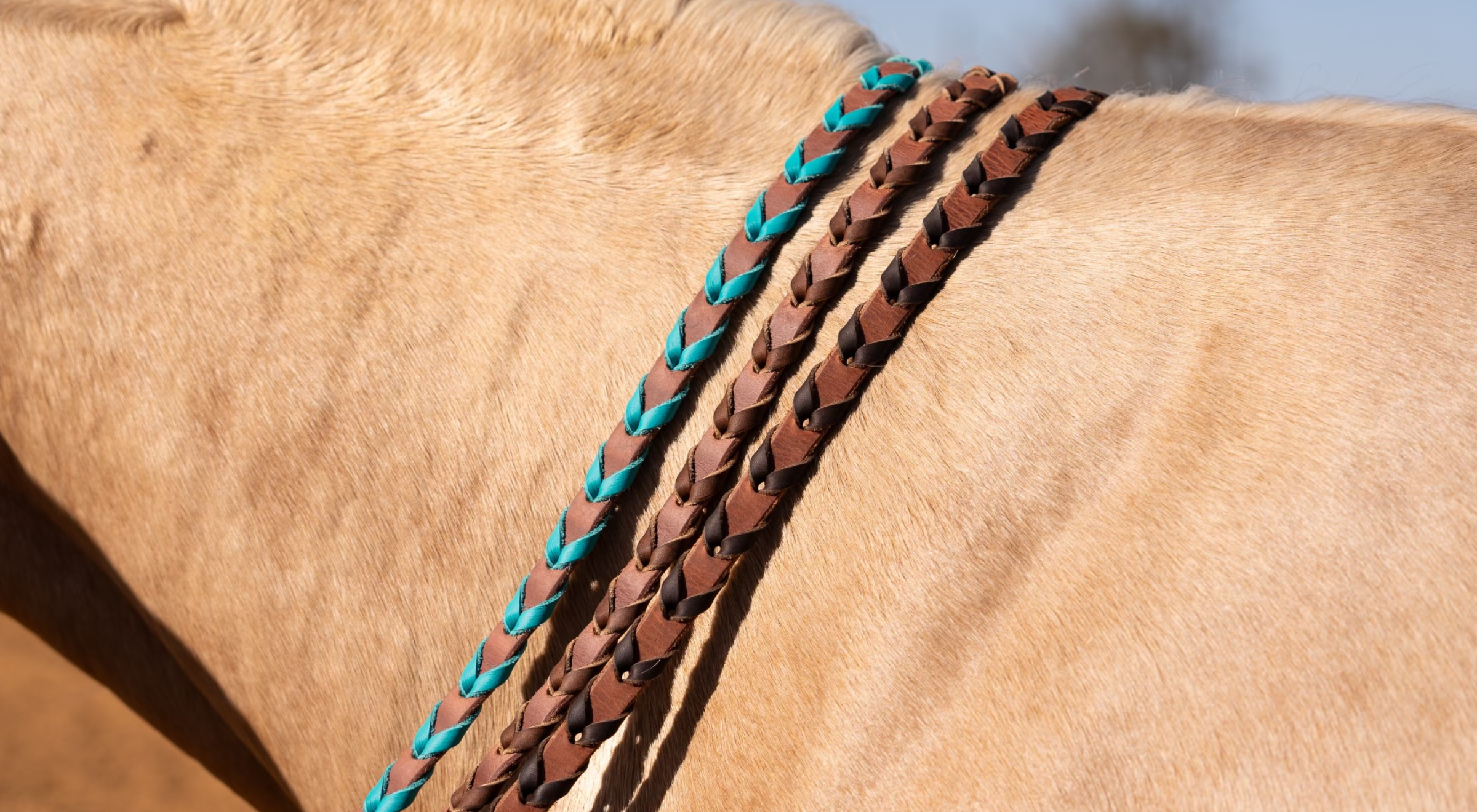 Three Martin Saddlery latigo laced barrel reins in turquoise, chocolate, and black lacing laid across a horse's back, showing the braided leather detail.