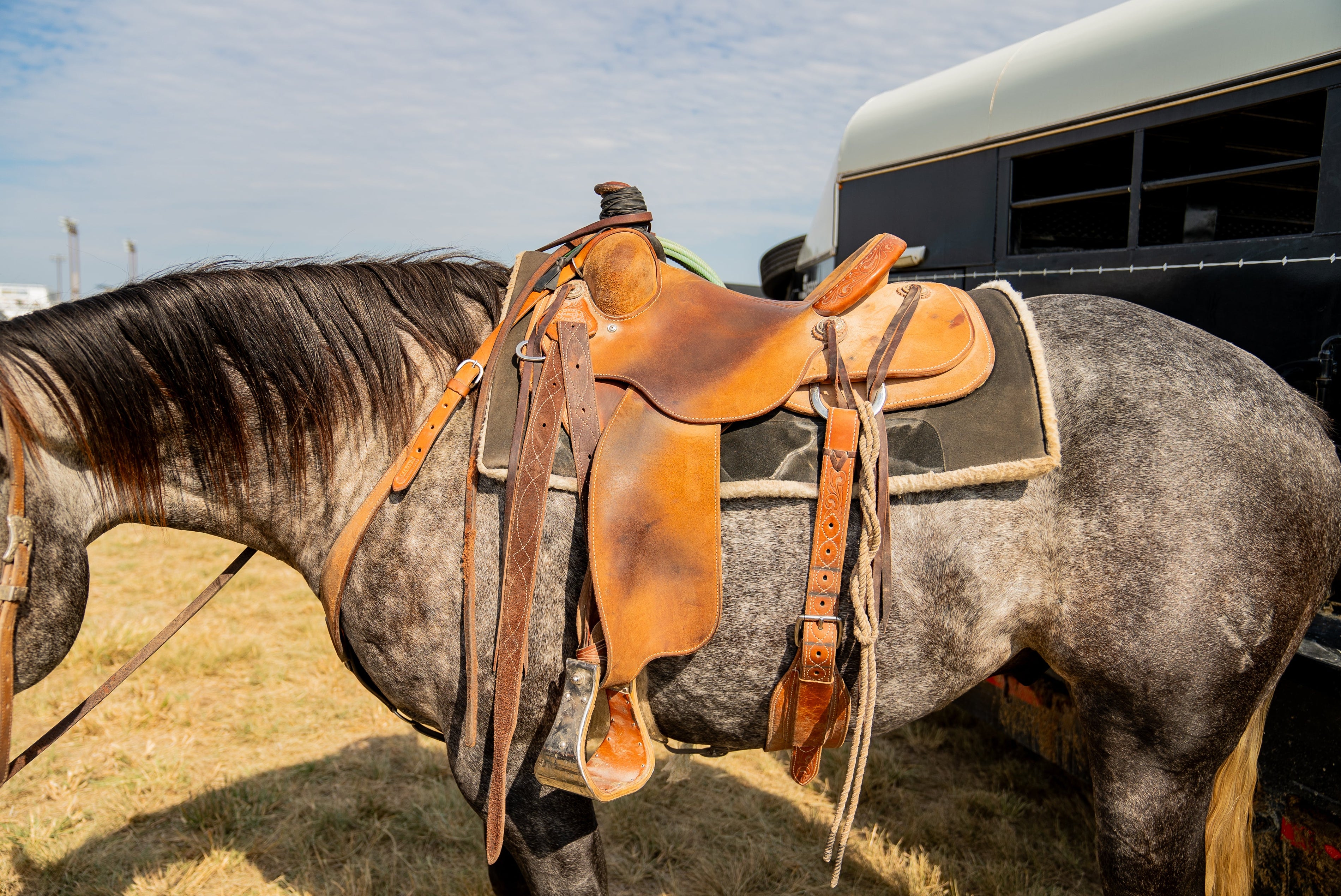 Martin Saddlery's Cowboy Saddle: All-Day Comfort for the Working Cowboy
