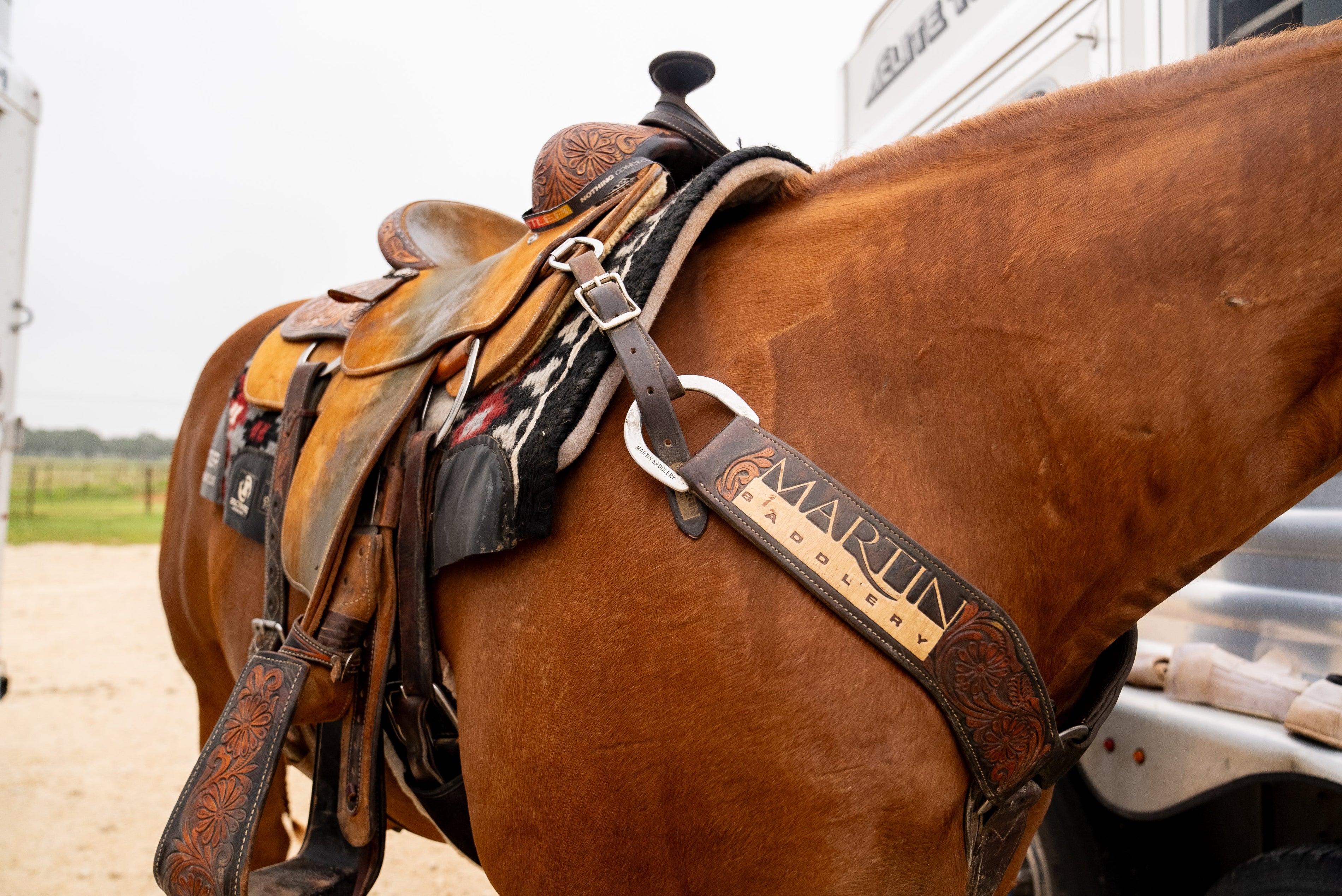 Dry Spots on Your Horse: What They Really Mean About Saddle Fit