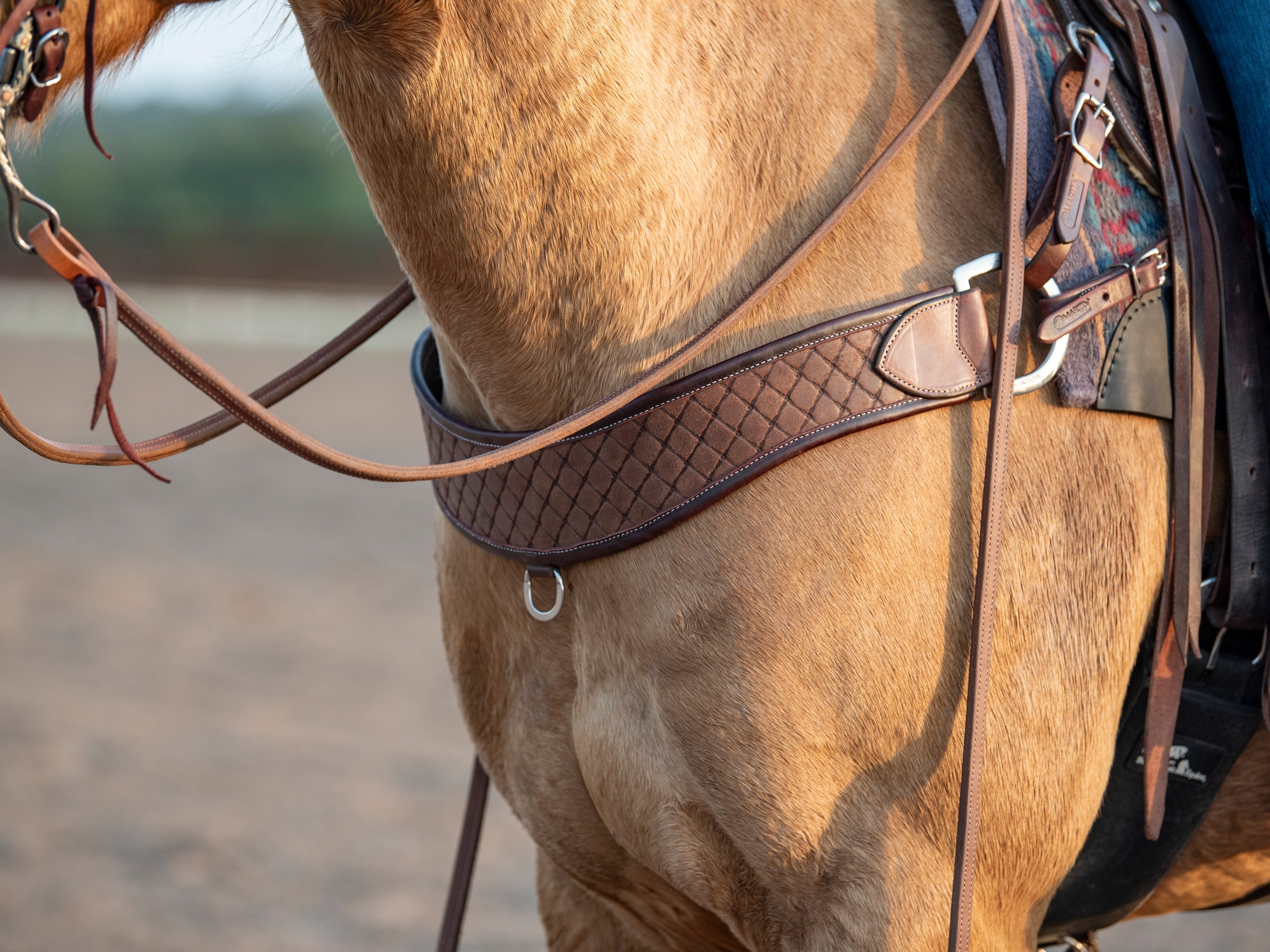 How to Choose a Breastcollar: Width, Material and Fit