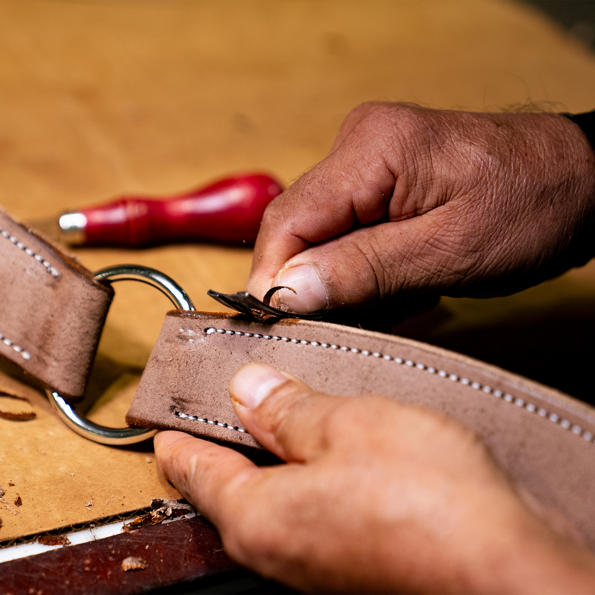A saddle maker's hands trim the end of a chocolate roughout breastcollar strap on a workbench in the workshop. The roughout leather shows white edge stitching and loops through a ring, with a red-handled tool lying behind it.