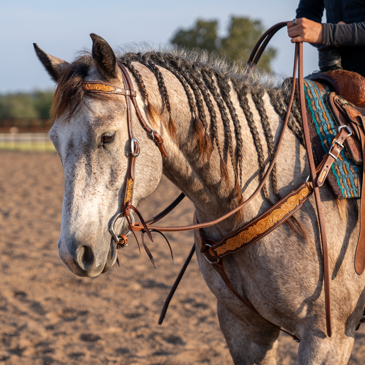 Natural scroll tooled breastcollar on a gray horse with a braided mane, standing in profile with a rider. The 2.5-inch strap with chocolate-framed edges runs from the saddle to the chest, worn with a tooled headstall in an outdoor arena.