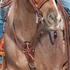 Chocolate roughout breastcollar on a roan horse, seen from the front at the chest with a rider in the saddle. The 2.75-inch shoulder straps with white stitching meet at a center ring above a tie-down strap.