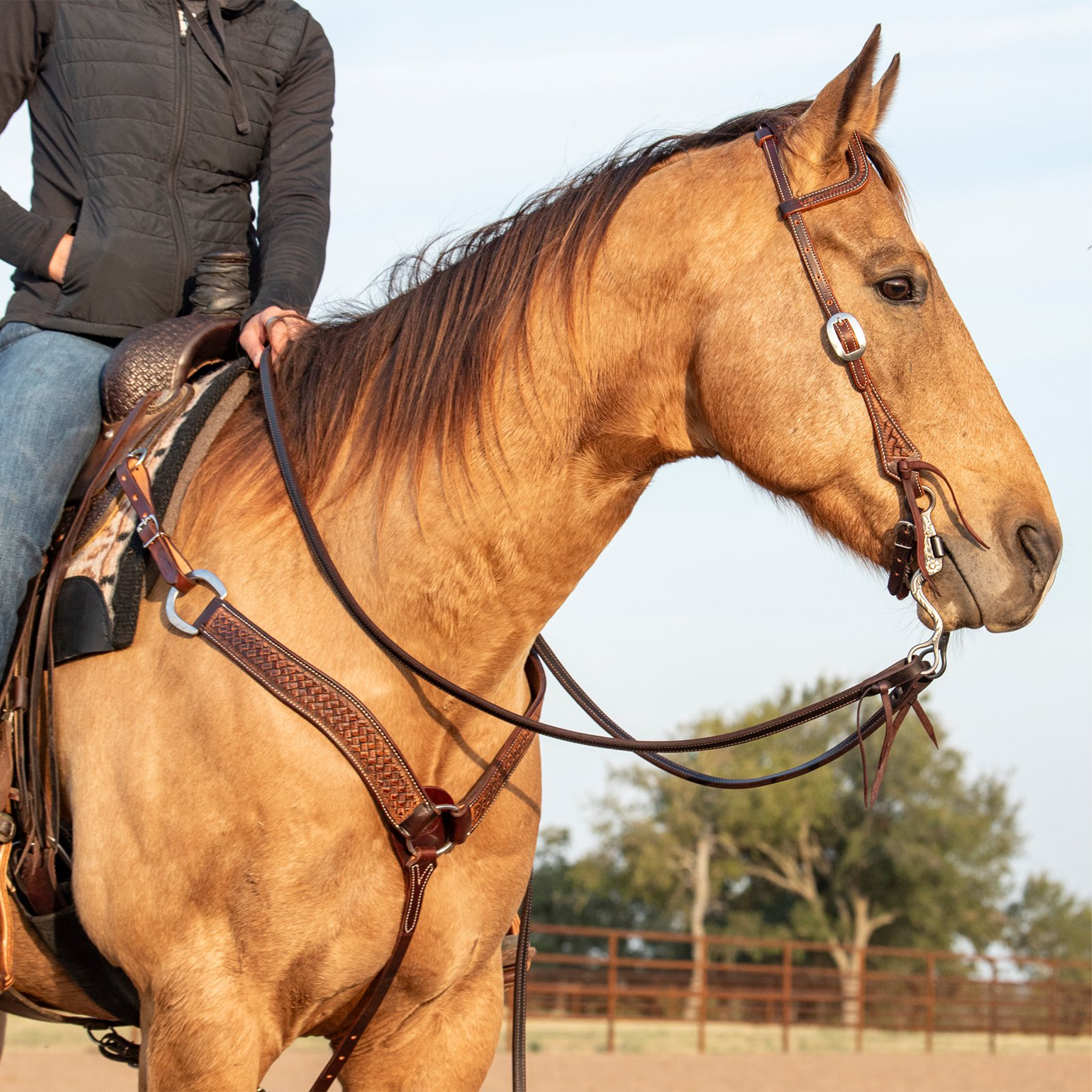Weathered antique weave tooled breastcollar on a buckskin horse standing in profile with a rider in the saddle. The 2-inch strap runs from a ring at the saddle down to the center of the chest, worn with a leather headstall and reins in an outdoor arena.