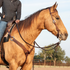 Weathered antique weave tooled breastcollar on a buckskin horse standing in profile with a rider in the saddle. The 2-inch strap runs from a ring at the saddle down to the center of the chest, worn with a leather headstall and reins in an outdoor arena.