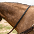 BioThane barrel rein lying across the neck of a buckskin horse, seen from the side. The black textured grip section joins a latigo leather end near the breastcollar.