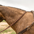 Chocolate latigo laced barrel rein lying across the neck of a buckskin horse, seen from the side. The 3/4-inch harness leather rein is laced with latigo and runs back toward the saddle above the breastcollar.