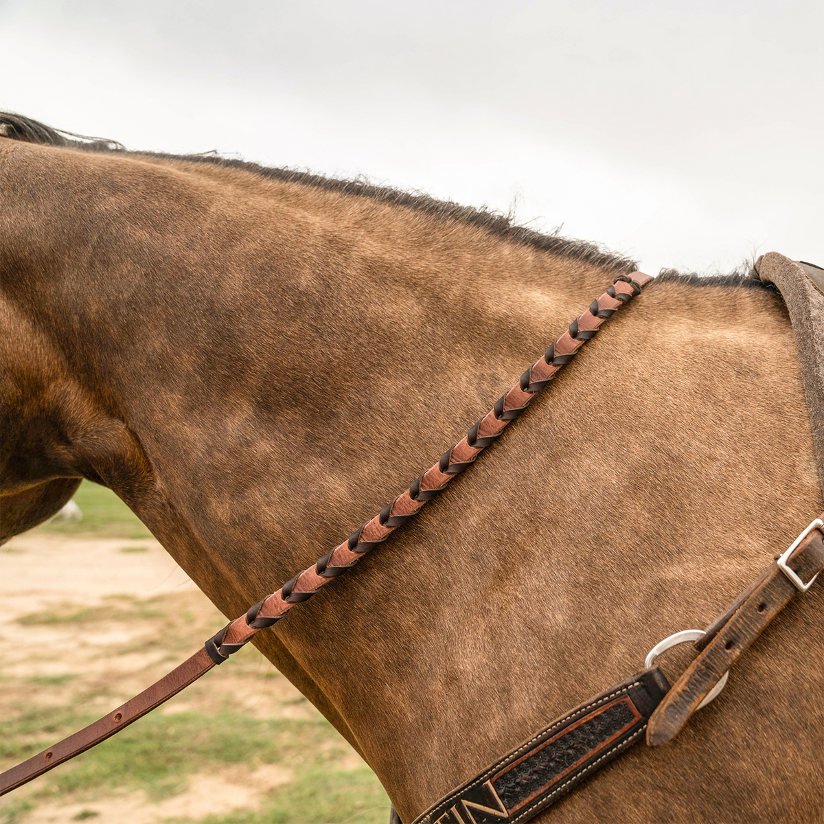 Chocolate latigo laced barrel rein lying across the neck of a buckskin horse, seen from the side. The 3/4-inch harness leather rein is laced with latigo and runs back toward the saddle above the breastcollar.