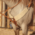 Natural mohair breastcollar on a roan horse standing by a wooden fence, seen at the chest. The 3-inch band of natural mohair strands runs from a ring at the saddle to a leather center piece with a tie-down strap.