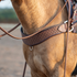 Chocolate steer roper breastcollar on a buckskin horse, seen from the front at the chest. The 4-inch strap with quilted tooling wraps across the chest with a small ring at the center and a larger ring at the saddle.