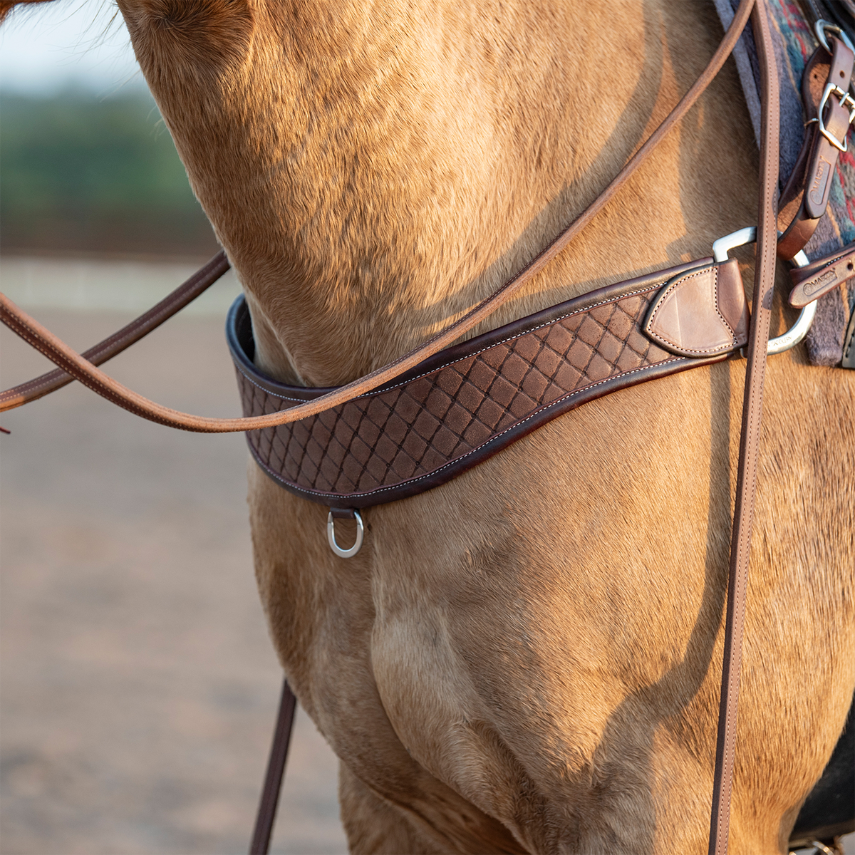 Chocolate steer roper breastcollar on a buckskin horse, seen from the front at the chest. The 4-inch strap with quilted tooling wraps across the chest with a small ring at the center and a larger ring at the saddle.