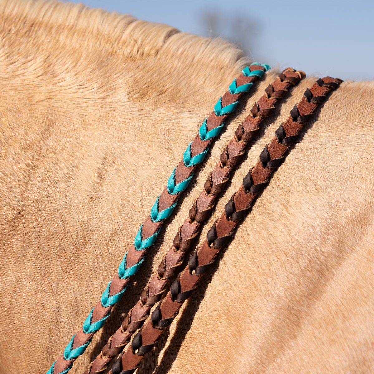 Turquoise latigo laced barrel rein on the neck of a palomino horse, next to chocolate and black laced reins. Turquoise lacing runs through the 5/8-inch harness leather rein.