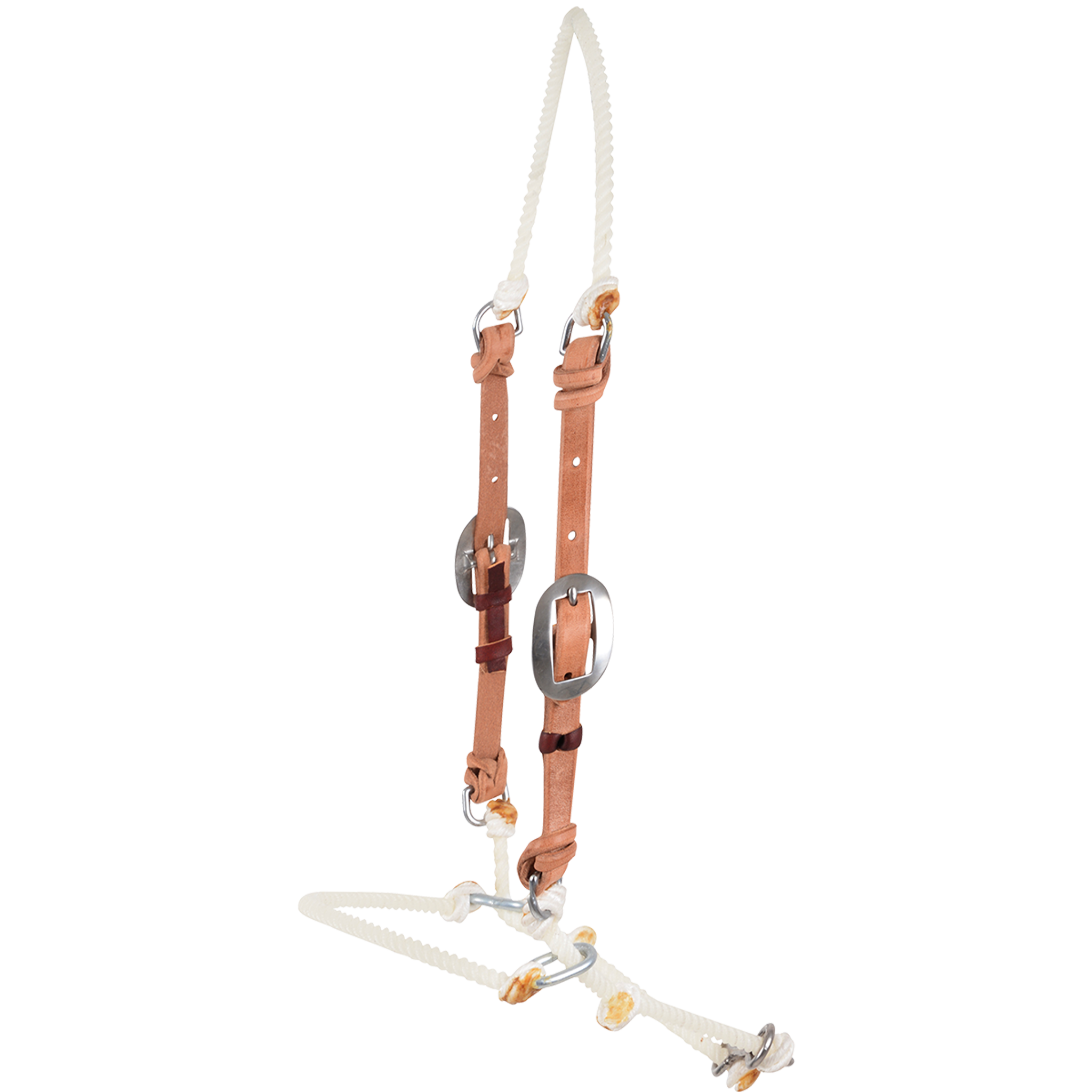 Adjustable rope headsetter tiedown with leather cheek pieces, seen from the front quarter. Buckles on both cheeks set the length between the white poll rope and the rope noseband.