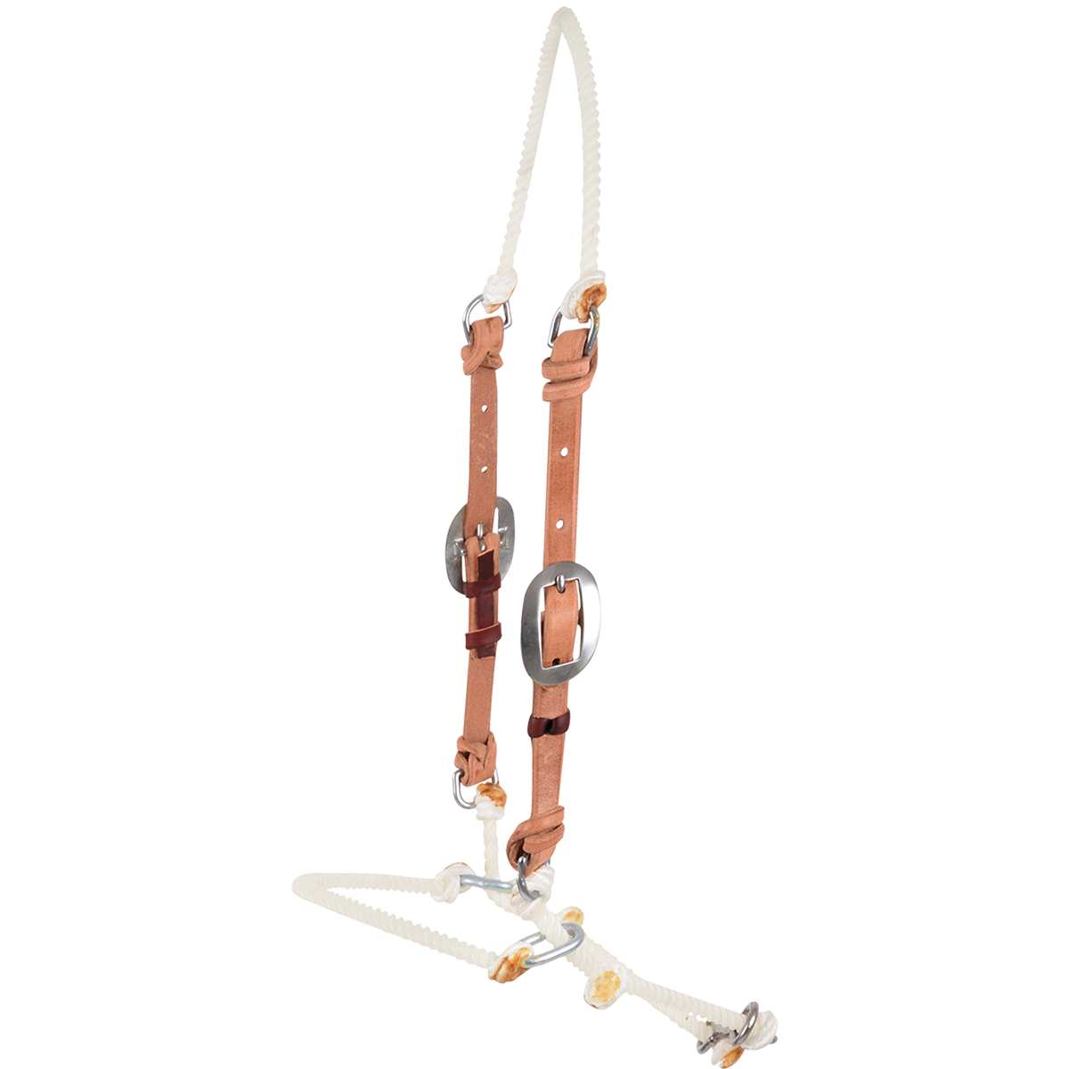 Adjustable rope headsetter tiedown with leather cheek pieces, seen from the front quarter. Buckles on both cheeks set the length between the white poll rope and the rope noseband.