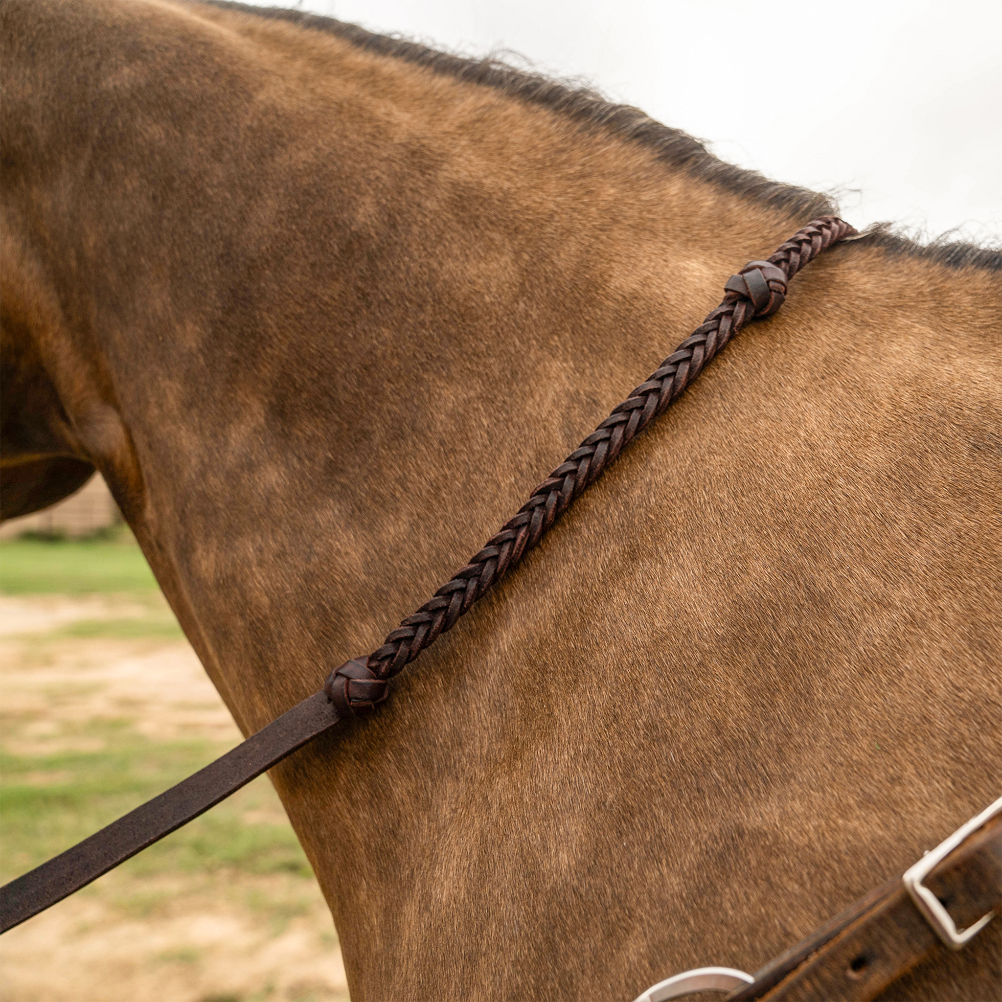 Braided latigo barrel rein with a braided knot lying across the neck of a buckskin horse. The dark braided section joins a flat latigo strap that runs toward the bit.