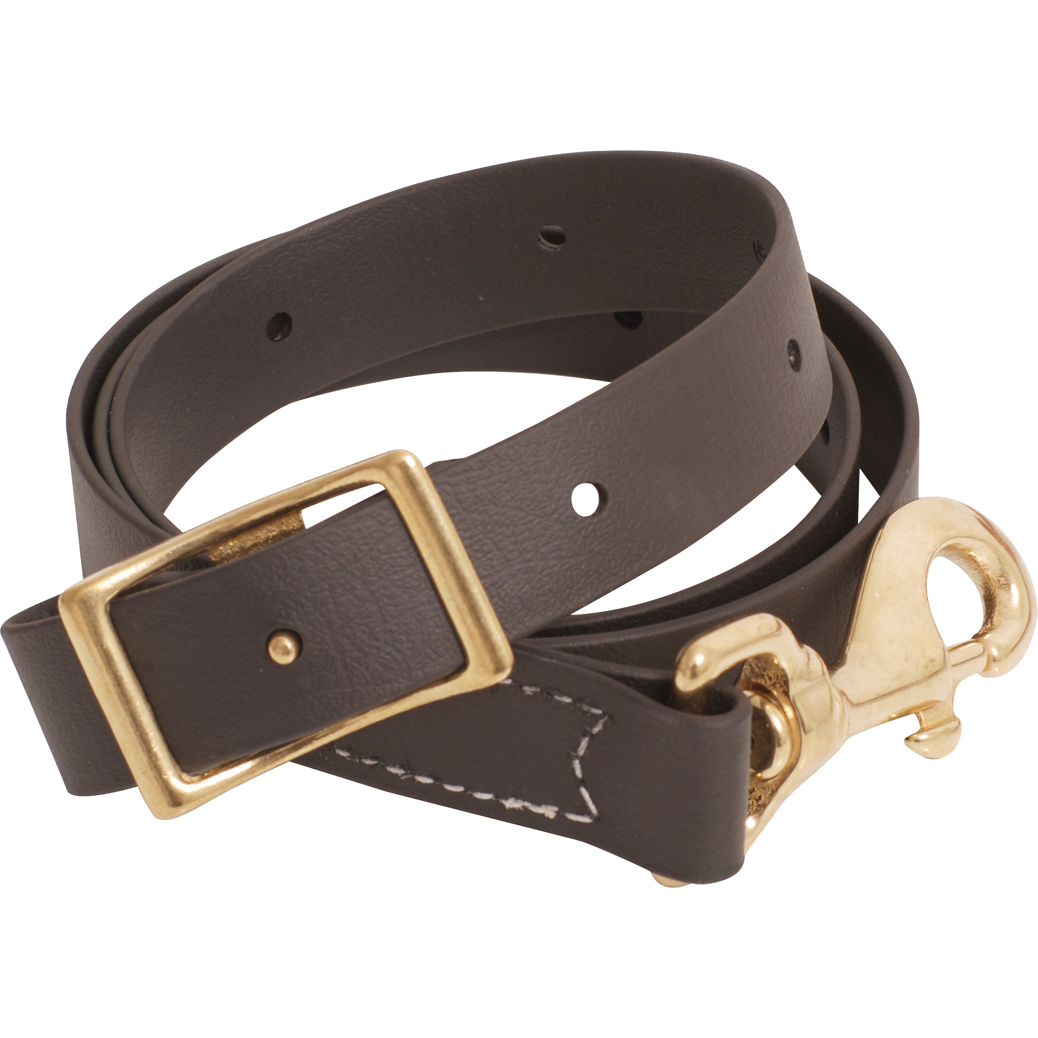 Brown BioThane tie-down strap, coiled and seen up close. The 1-inch strap has a square buckle, punched adjustment holes and a snap stitched to the end.