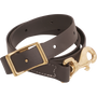 Brown BioThane tie-down strap, coiled and seen up close. The 1-inch strap has a square buckle, punched adjustment holes and a snap stitched to the end.