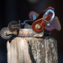 Spur with a chestnut smoothout spur strap balanced on a fence post, against a dark background. The buckle stands above the smooth leather strap and the spur's rowels.