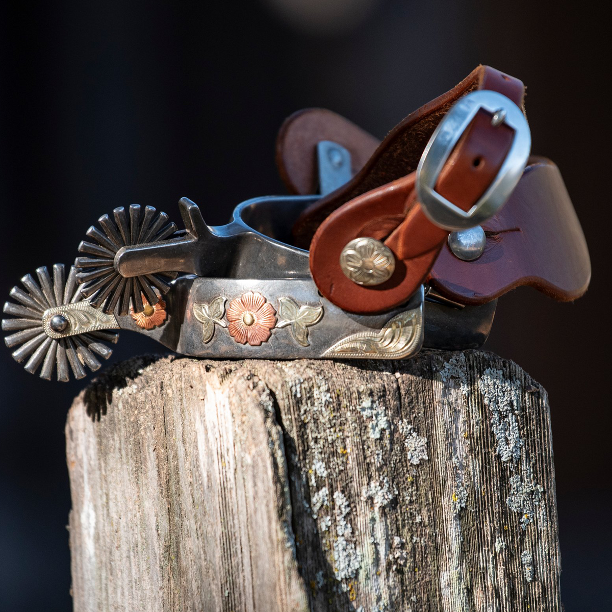 Spur with a chestnut smoothout spur strap balanced on a fence post, against a dark background. The buckle stands above the smooth leather strap and the spur's rowels.