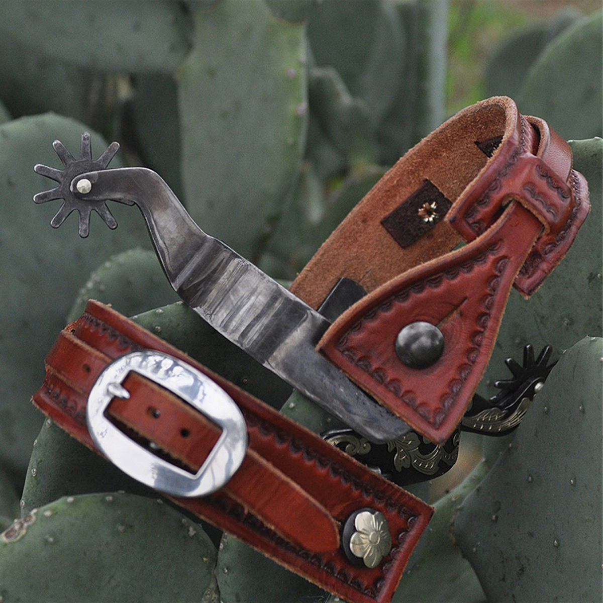 Chestnut square sliding spur straps on a pair of spurs resting on prickly pear pads. The border stamped straps wrap the spur ends, with the buckle on the sliding strap in front.