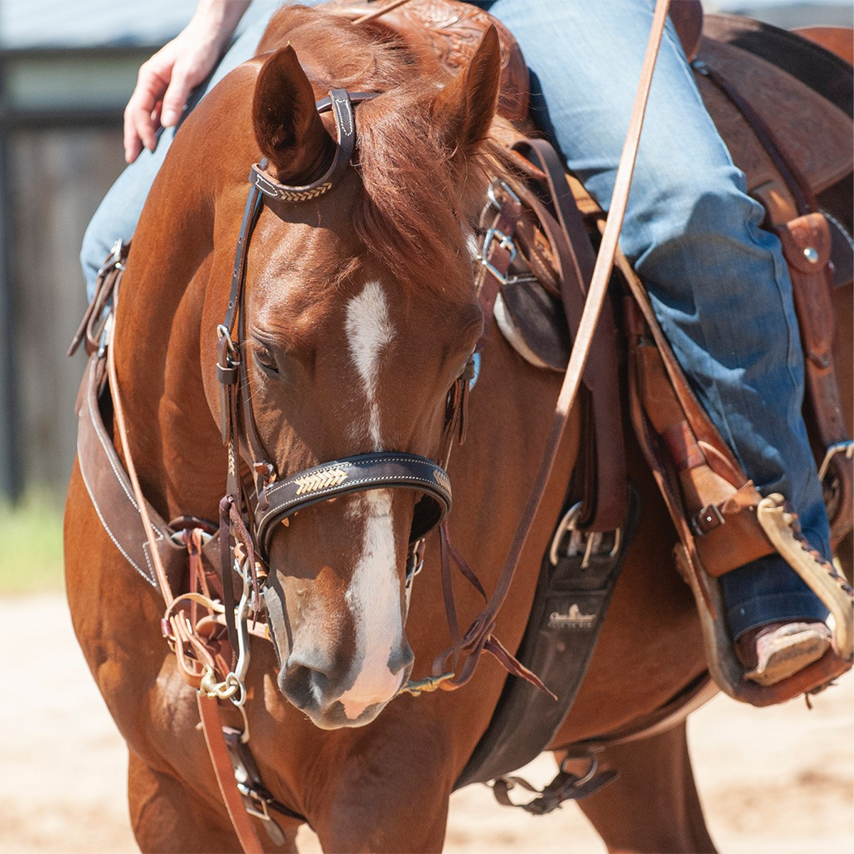 Sorrel horse with a white blaze wearing a chocolate rawhide laced headstall, walking toward the camera with a rider. Rawhide lacing shows on the ear piece and noseband above the bit.