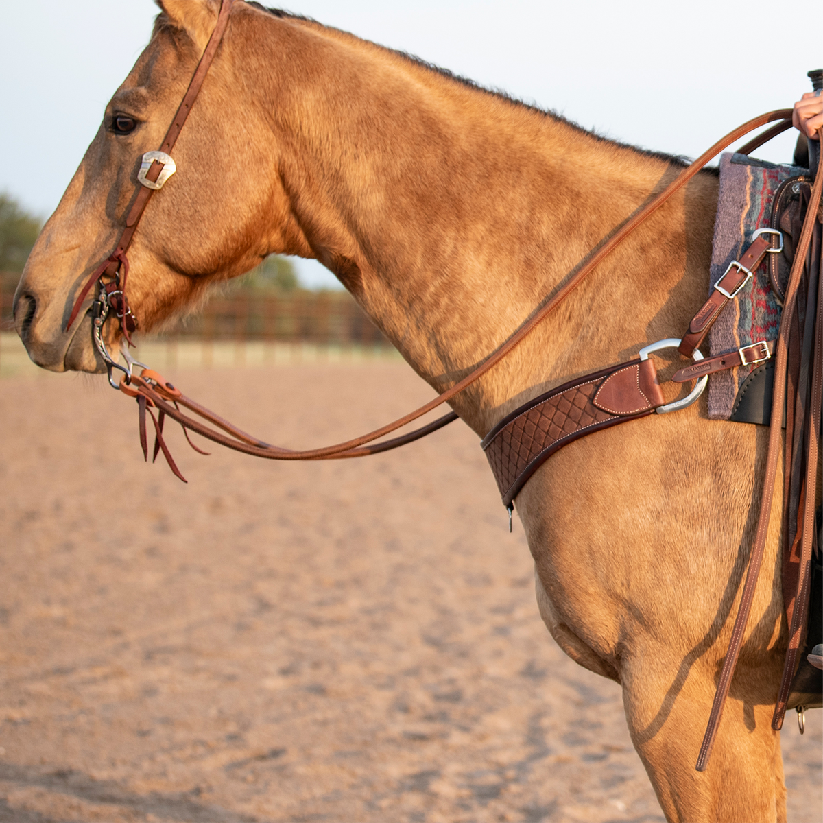 Buckskin horse standing in profile in an arena, wearing a chocolate steer roper breast collar with quilted tooling. The wide strap runs from the saddle around the chest, worn with a leather headstall and reins.