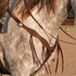 Chocolate roughout breastcollar with rosettes and strings worn on a gray horse, seen from the side at the shoulder. Latigo strings hang from the rosettes along the stitched strap, which connects to the saddle through a ring and buckle.