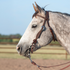 Gray horse in profile wearing a chocolate roughout browband headstall with rosette strings, in an outdoor arena. The stitched cheek carries a cart buckle and a rosette with latigo ties at the bit.
