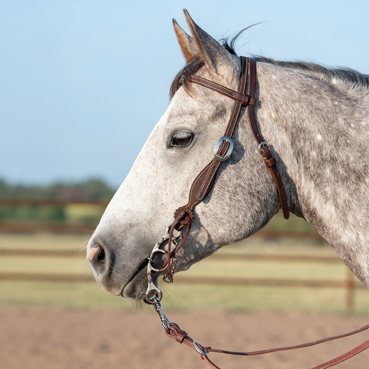 Gray horse in profile wearing a chocolate roughout browband headstall with rosette strings, in an outdoor arena. The stitched cheek carries a cart buckle and a rosette with latigo ties at the bit.