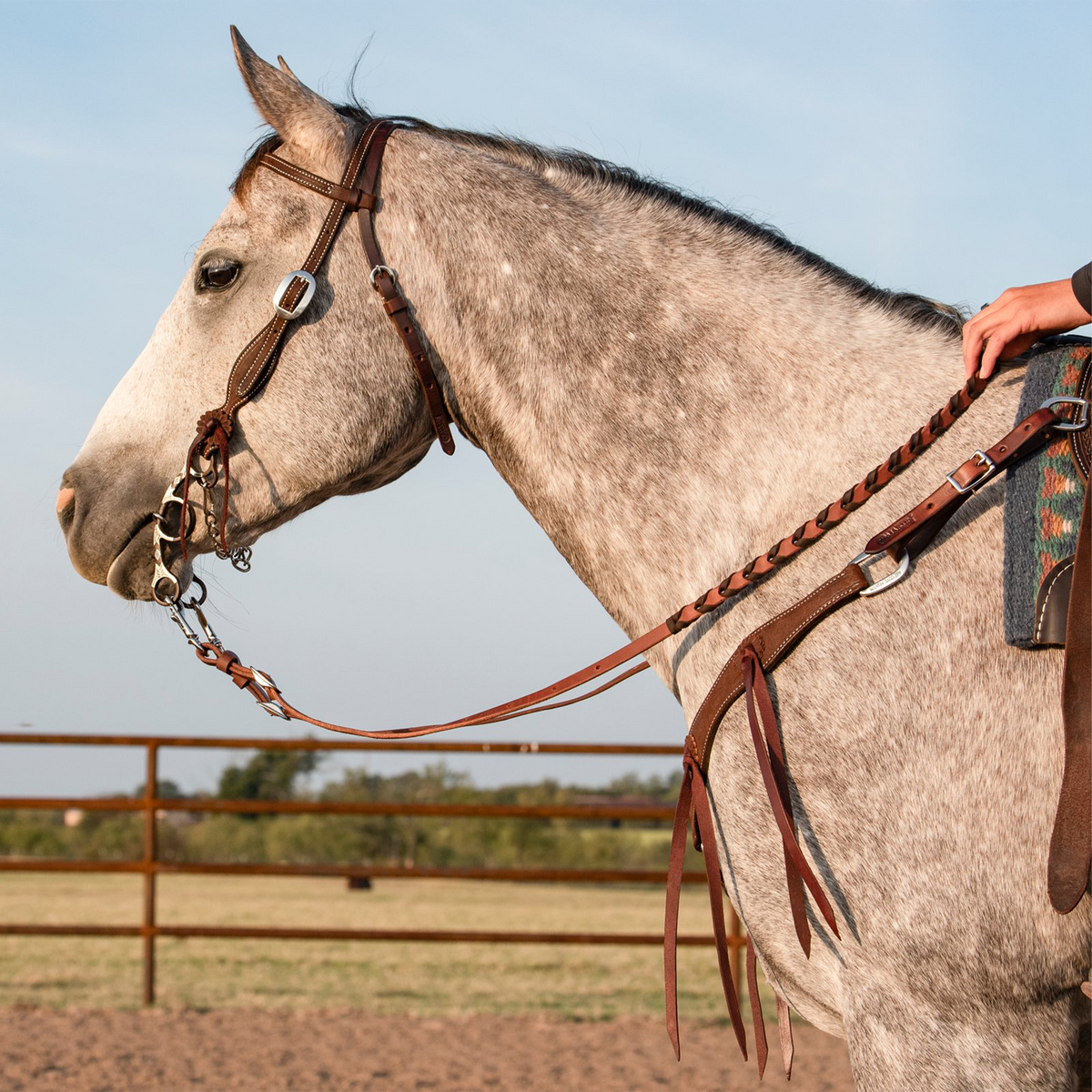 Gray horse standing in profile by an arena fence, wearing a chocolate roughout breast collar with latigo strings hanging at the shoulder. The harness leather strap runs from the saddle to the chest, worn with a leather headstall and braided reins.