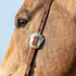 Engraved Salinas buckle on a chocolate roughout headstall, seen up close beside a buckskin horse's eye. Scrollwork covers the shaped buckle frame, and adjustment holes run up the strap.
