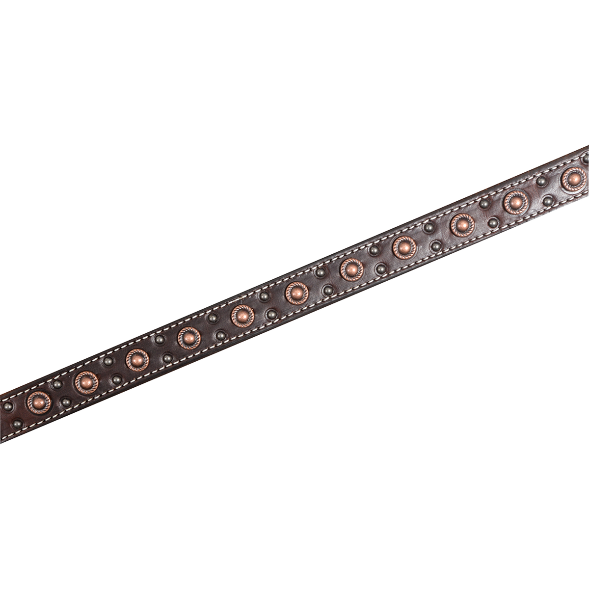 Chocolate skirting leather breastcollar strap running diagonally across the frame. Antique copper dots with rope edges alternate with small dark spots between two lines of white stitching.