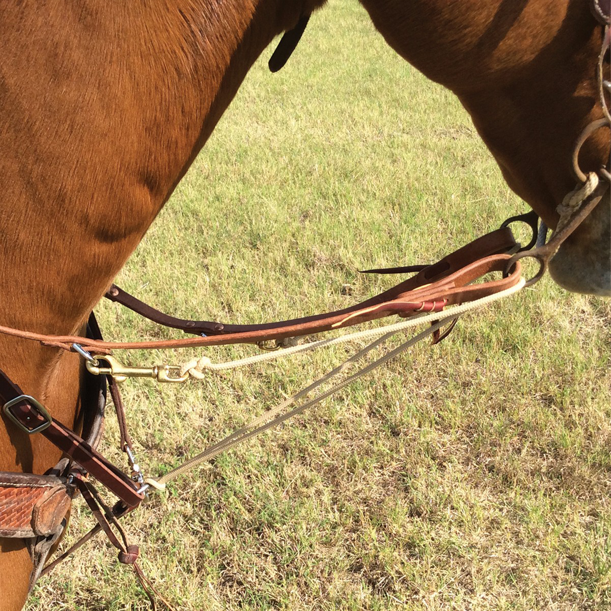 Martingale split rein seen from the side on a sorrel horse standing on grass. Braided rope clips to the leather rein, passes through the bit ring and runs back between the front legs.