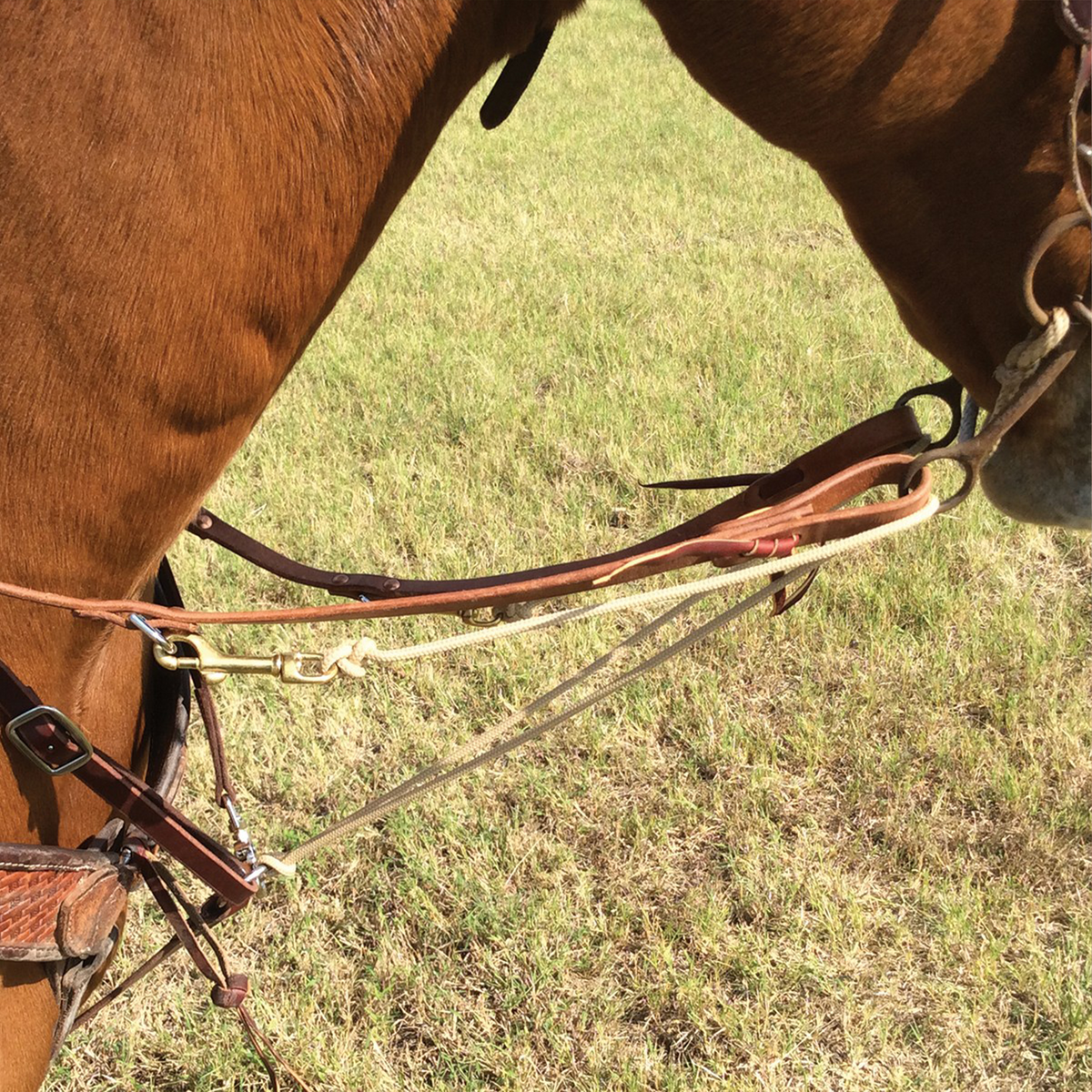 Martingale split rein seen from the side on a sorrel horse standing on grass. Braided rope clips to the leather rein, passes through the bit ring and runs back between the front legs.