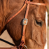 Prescott buckle on the cheek of a harness leather headstall, seen up close on a sorrel horse. White stitching runs along the browband and cheek straps.