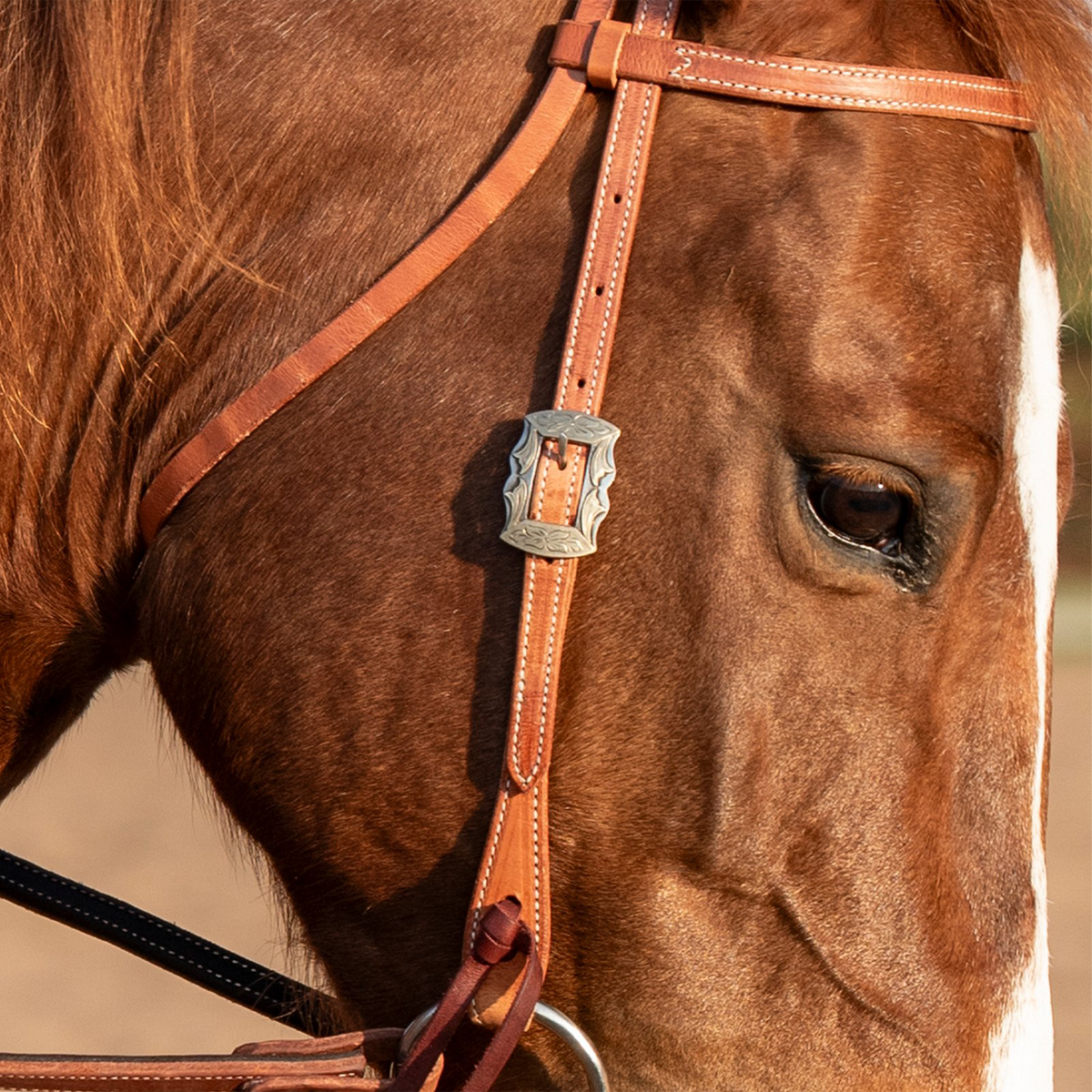 Prescott buckle on the cheek of a harness leather headstall, seen up close on a sorrel horse. White stitching runs along the browband and cheek straps.