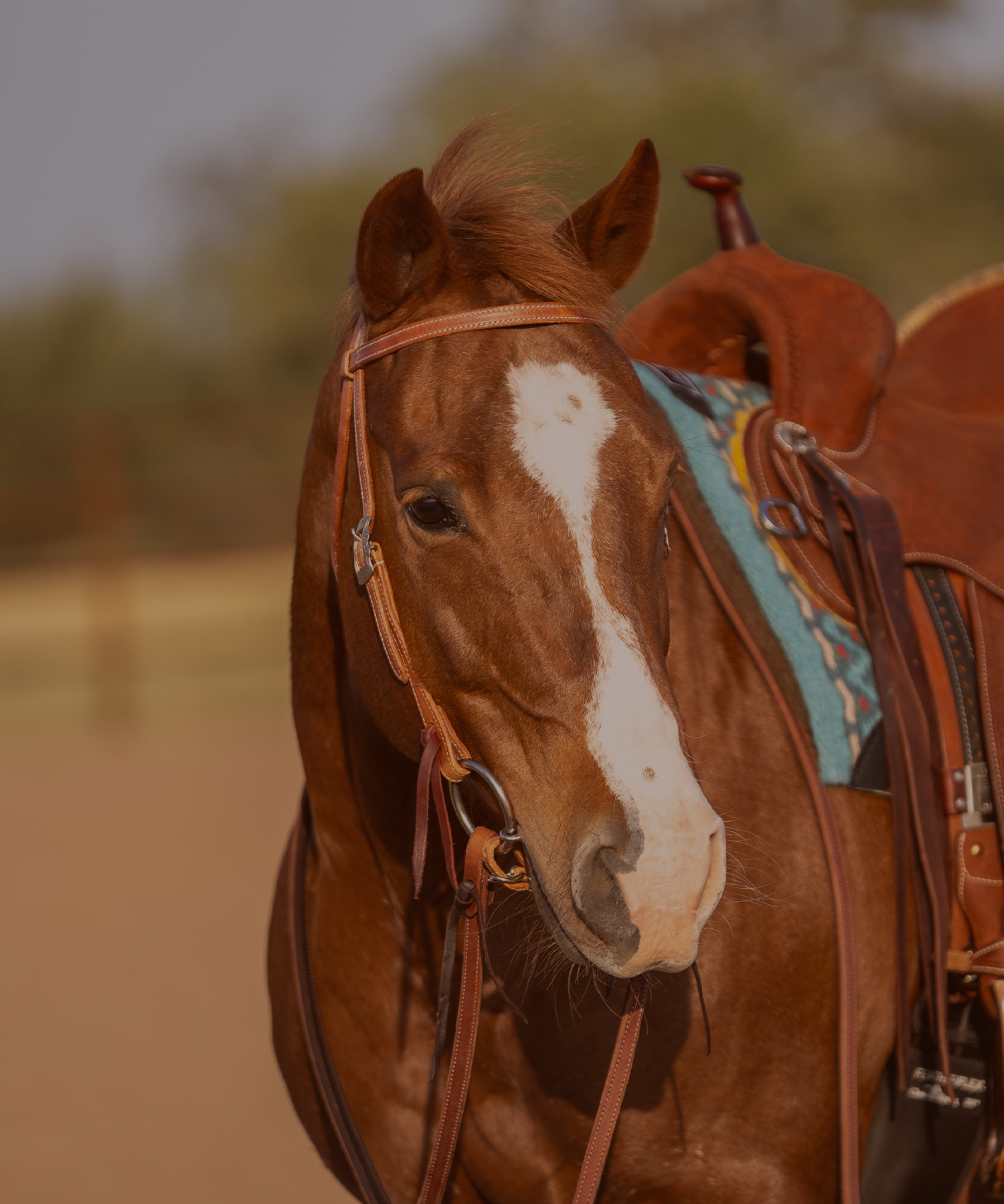 Headstalls