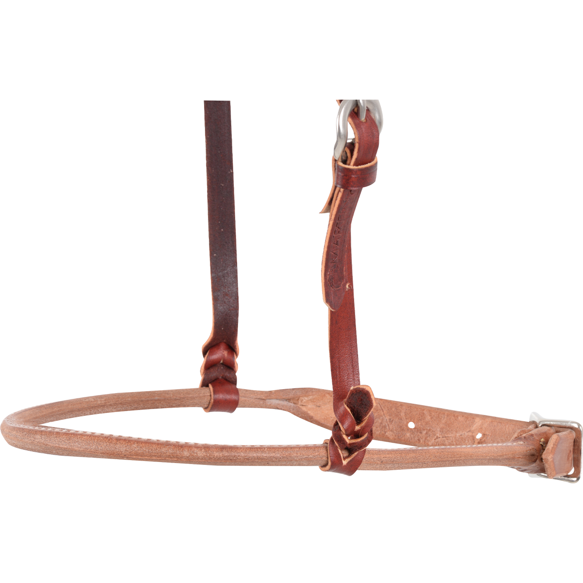 Harness leather cavesson noseband seen up close. The rounded noseband is tied to the dark cheek straps and adjusts with a buckle at the back to fit the horse.