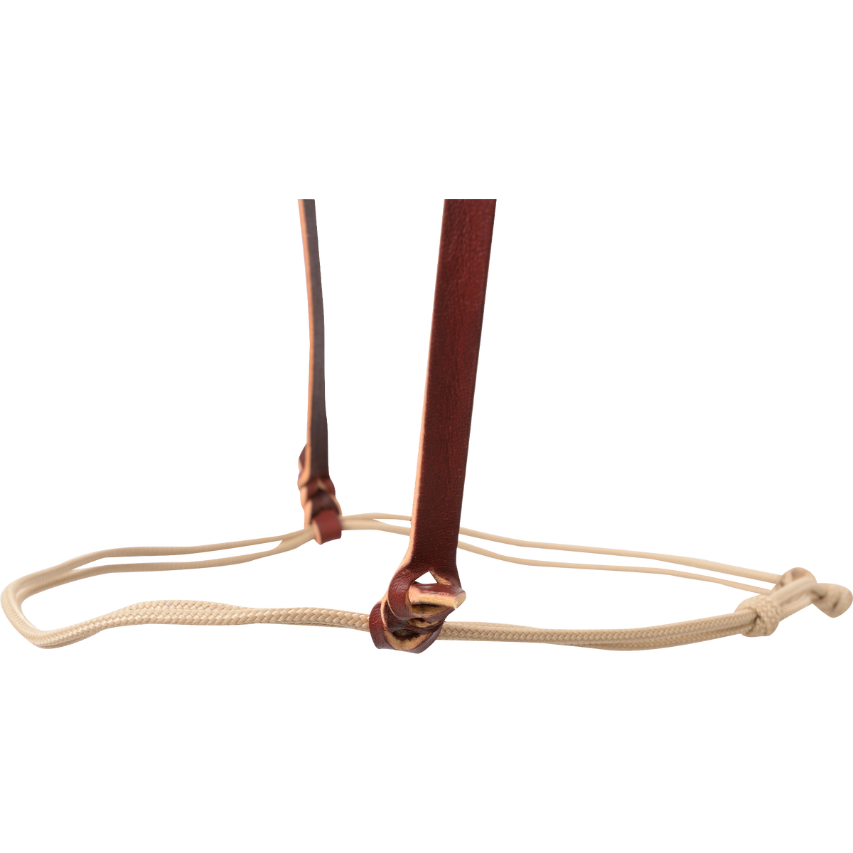 Nylon cord cavesson noseband seen up close. The doubled cord is tied to the leather cheek straps and knotted at the back so it can be adjusted to fit the horse.