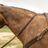 Latigo leather barrel rein lying across the neck of a buckskin horse, seen from the side. The smooth 3/4-inch rein runs from the bit back toward the saddle above a tooled breastcollar.
