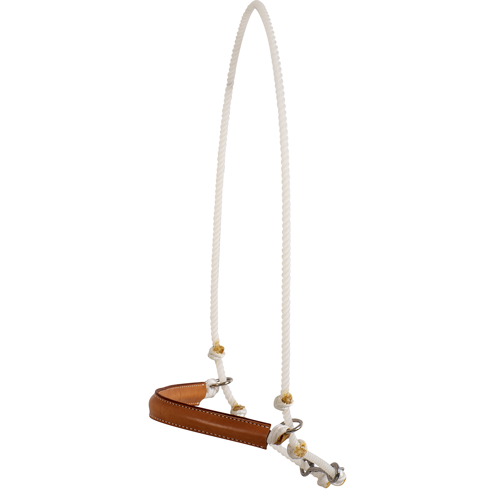 Rope headsetter tiedown with a leather nose, seen from the front quarter. White rope forms the poll loop, and a stitched leather cover wraps the noseband between knots and rings.