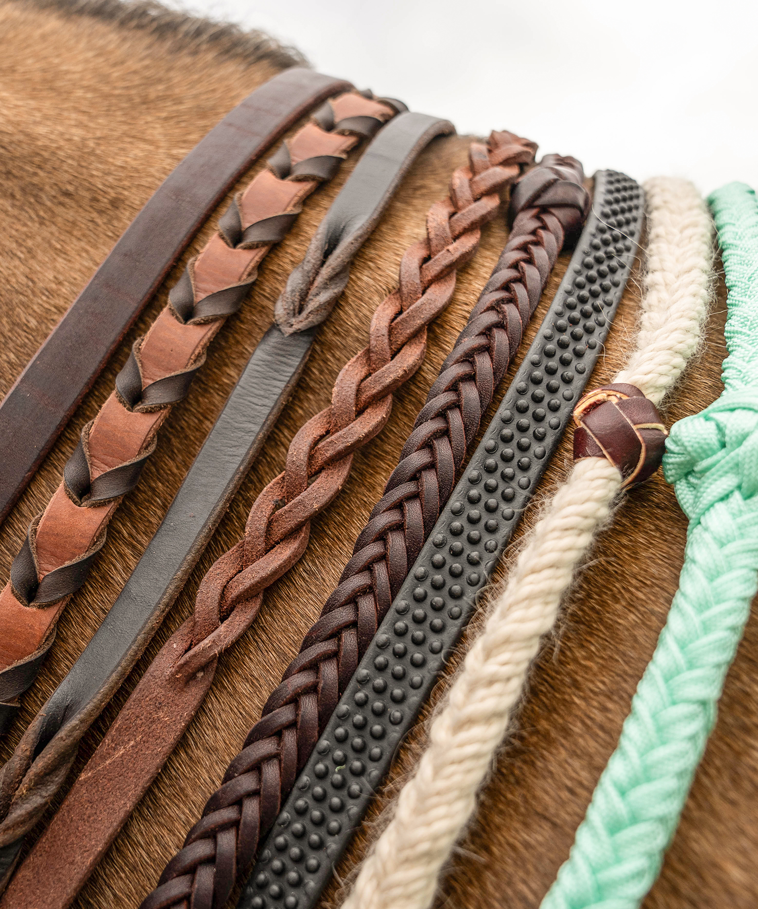 Reins