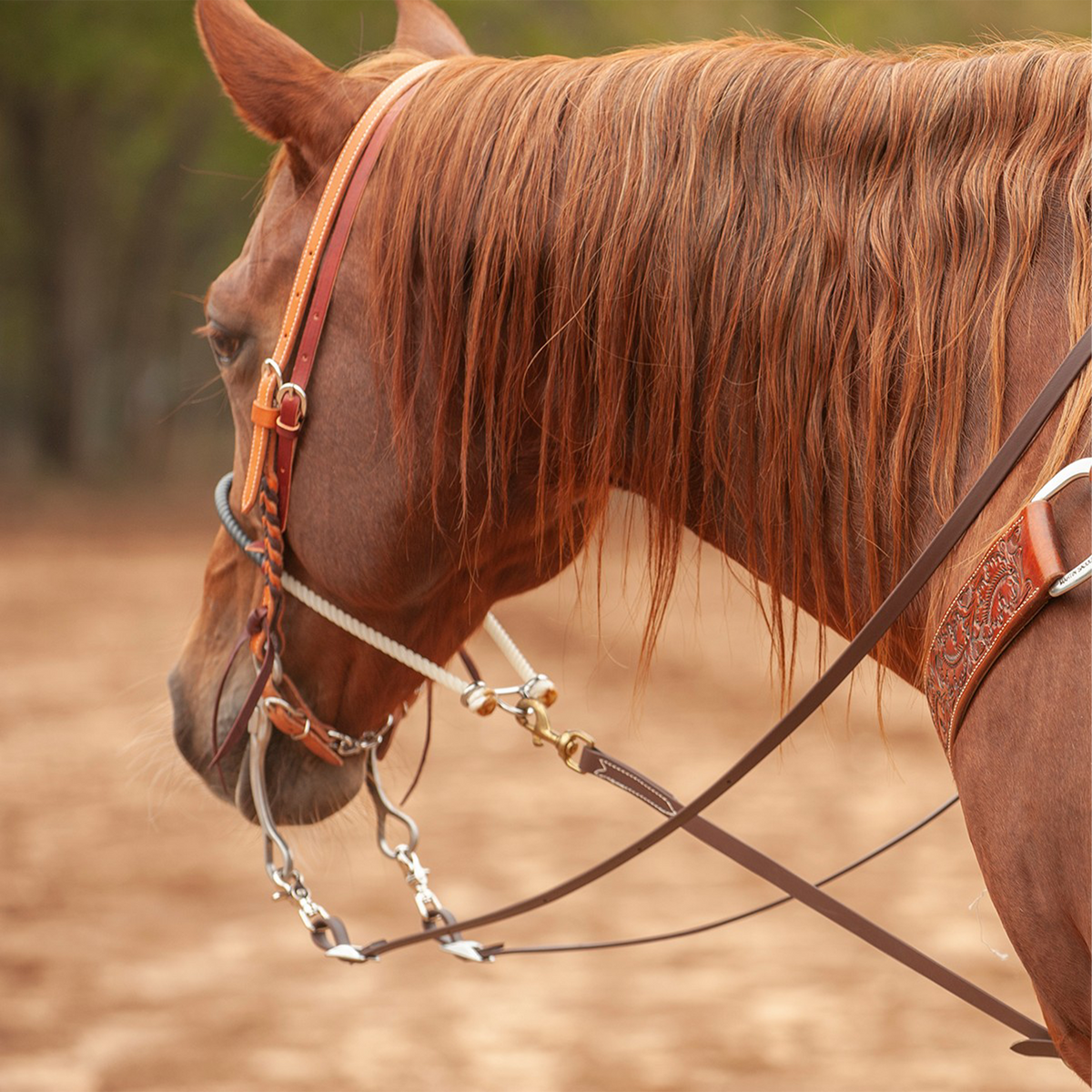 Sorrel horse with a long mane seen from behind the shoulder, ridden in a brown BioThane roping rein. The rein snaps to the bit below a leather headstall and rope noseband.