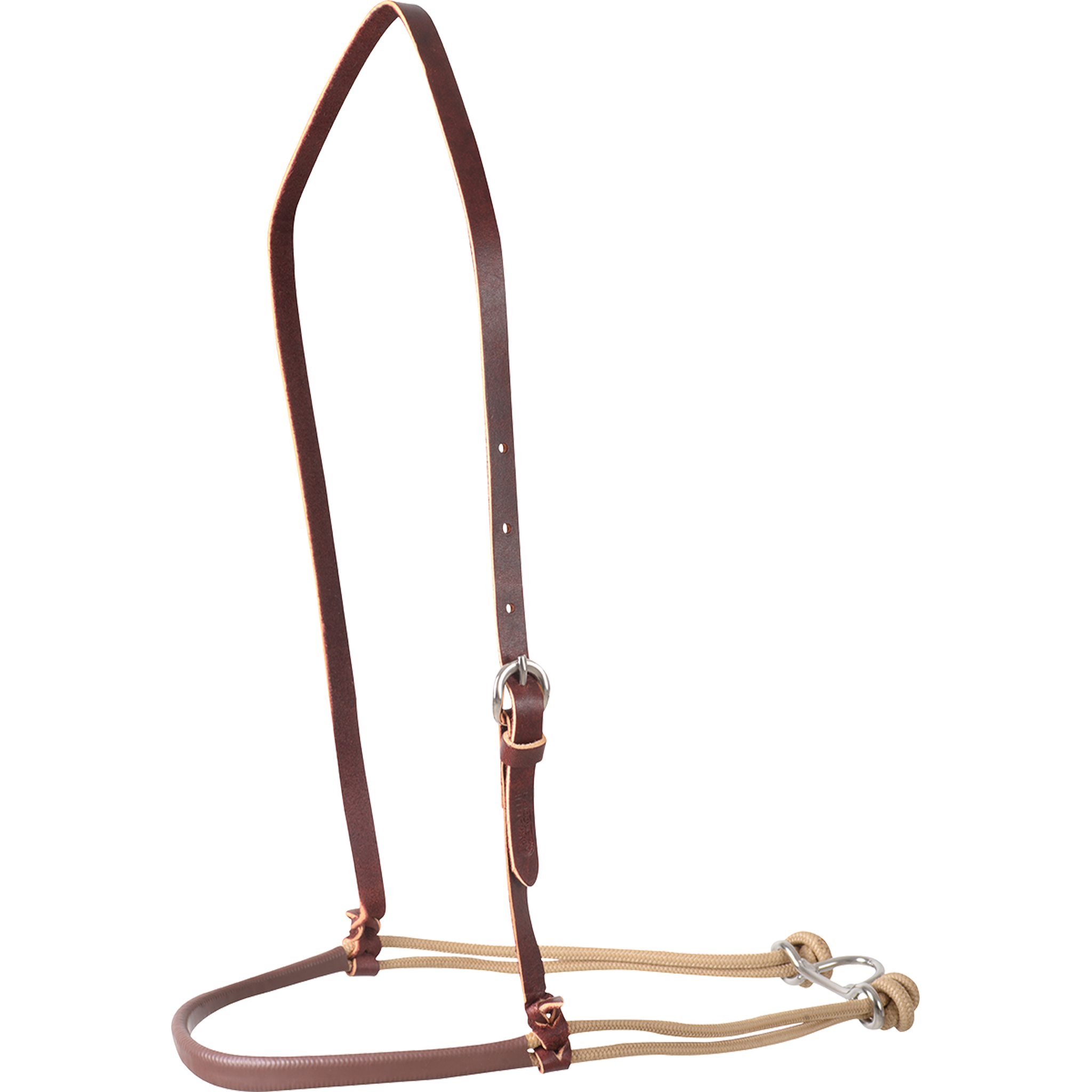 Nosebands