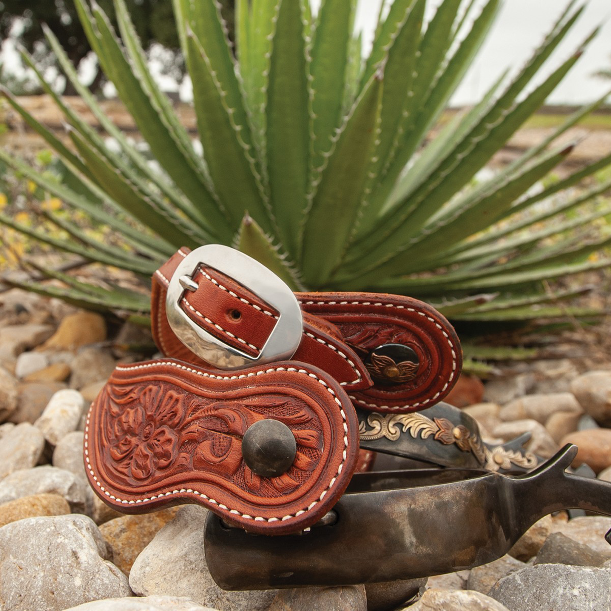 Chestnut Alpine spur straps with Alpine flower tooling on a spur resting on river rock, with an agave plant behind. White stitching edges the tooled straps below a wide buckle.
