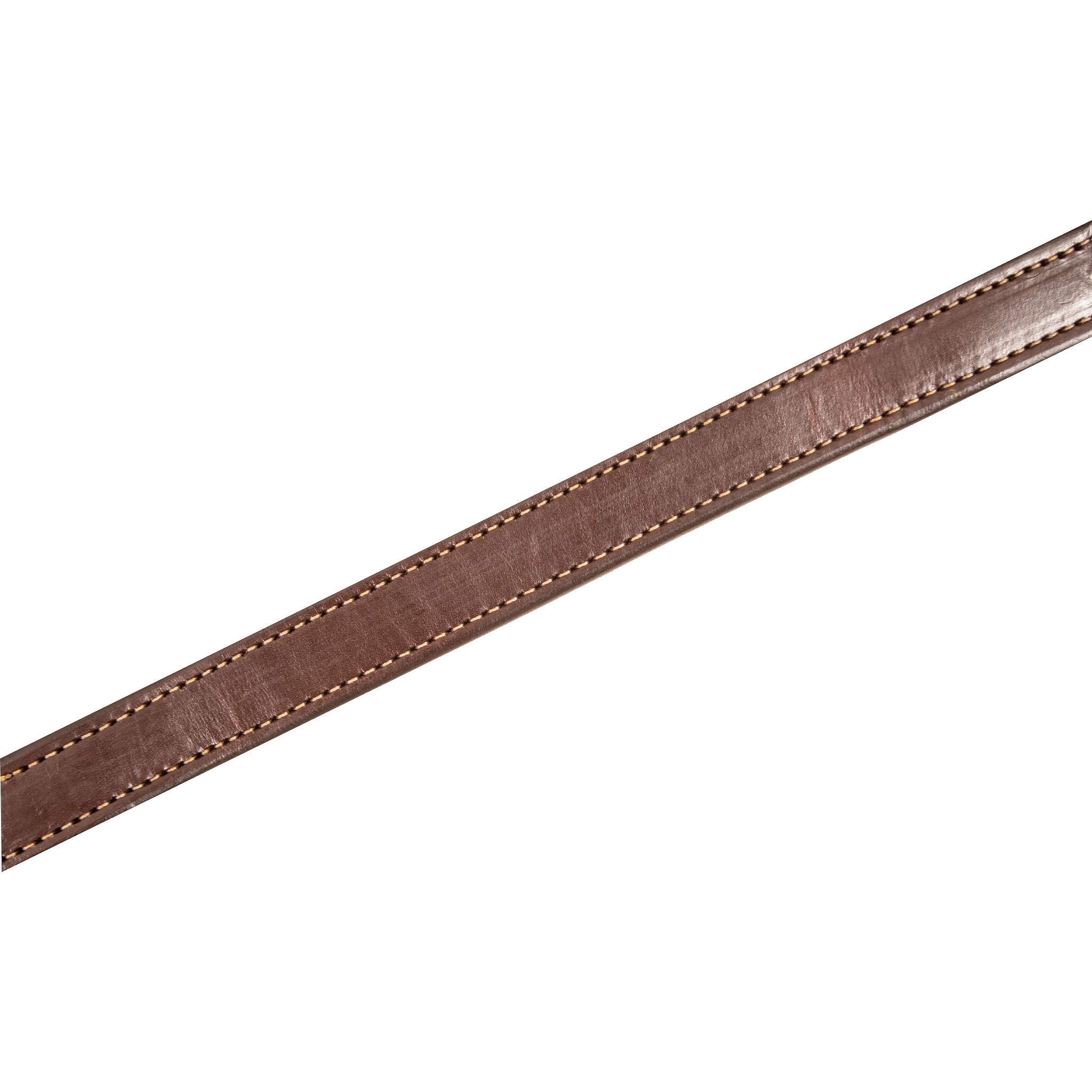 Chestnut skirting leather breast collar strap running diagonally across the frame. Stitching follows both edges of the 1-inch strap on this Martin Saddlery colt breast collar.