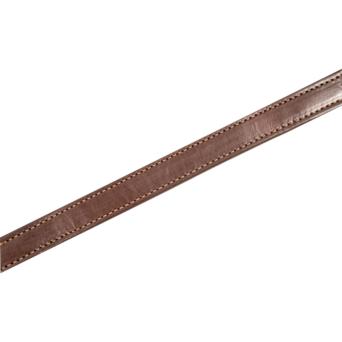 Chestnut skirting leather breast collar strap running diagonally across the frame. Stitching follows both edges of the 1-inch strap on this Martin Saddlery colt breast collar.