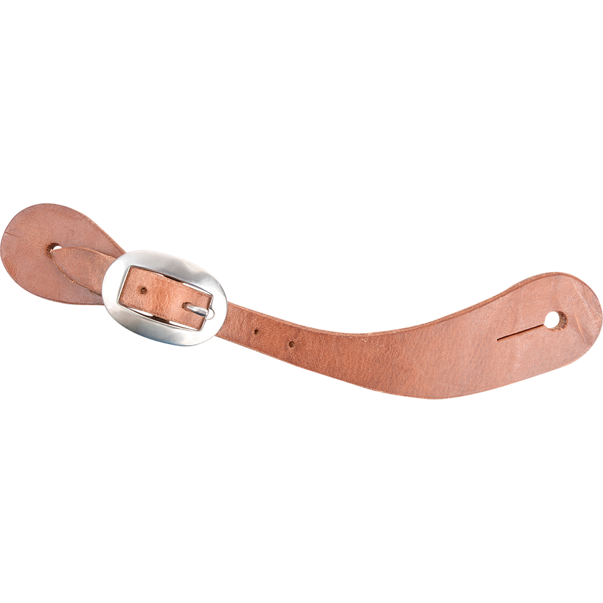 Chisholm harness leather spur strap, seen from above. The plain Hermann Oak harness leather has no tooling and fastens with a stainless steel buckle.